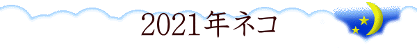 2021年ネコ